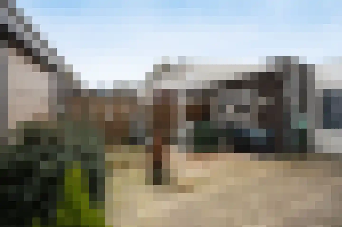 Wilgenstraat 22 Oudenbosch thumbnail 4