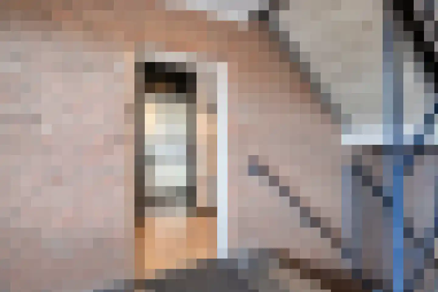 Wilgenstraat 23 Oss thumbnail 24