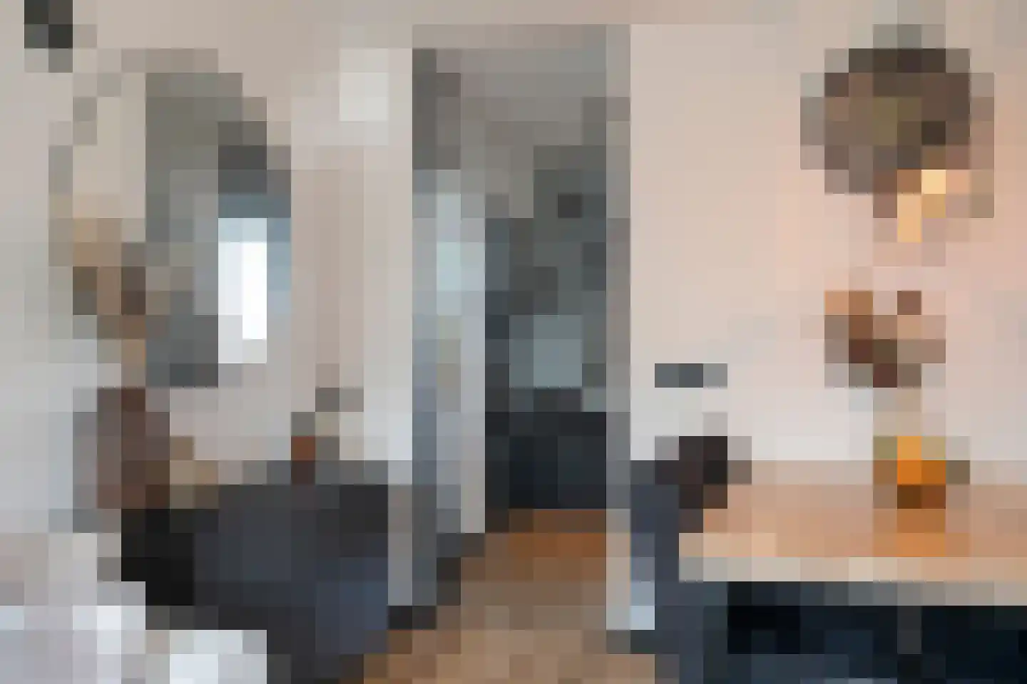Wilgenstraat 23 Oss thumbnail 4
