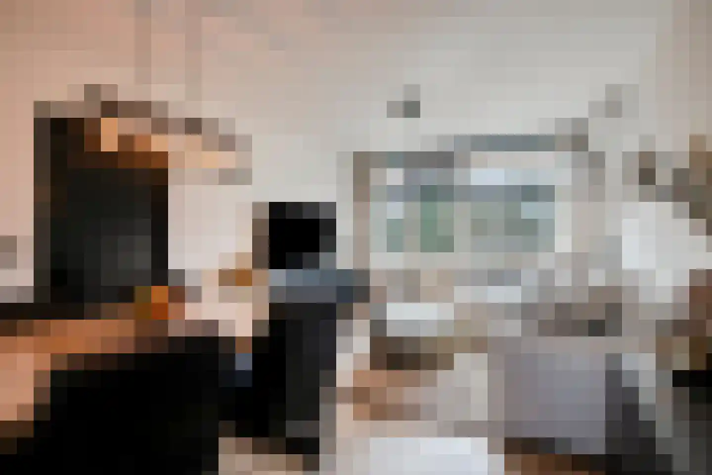 Wilgenstraat 23 Oss thumbnail 5