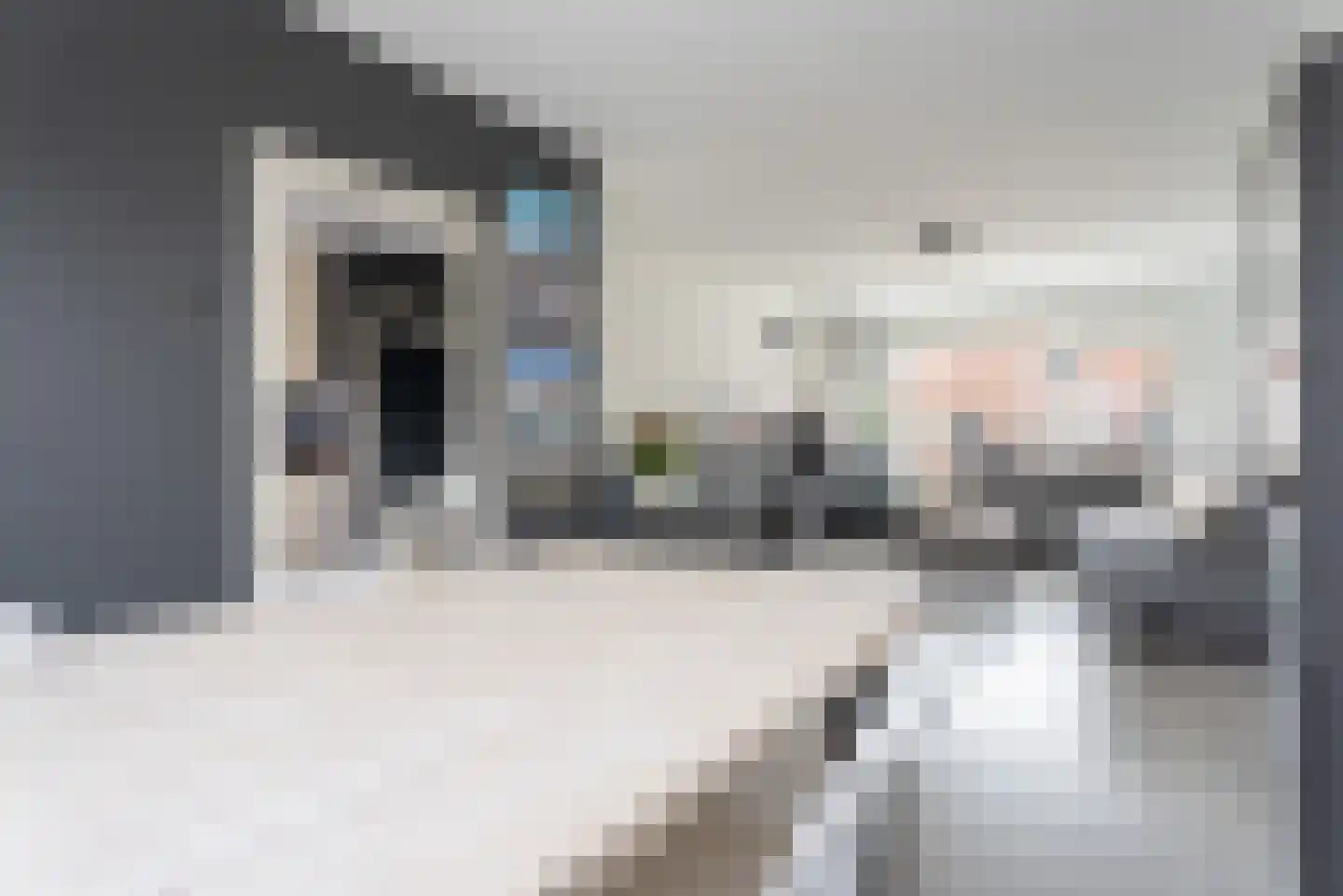 Wilgenstraat 23 Spijkenisse thumbnail 12