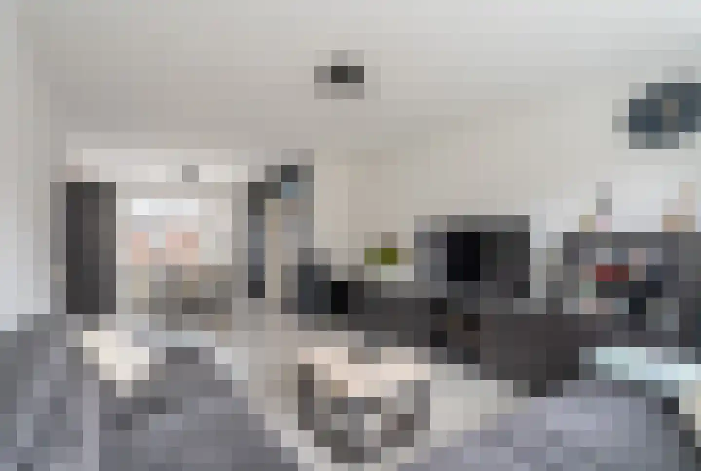 Wilgenstraat 23 Spijkenisse thumbnail 14
