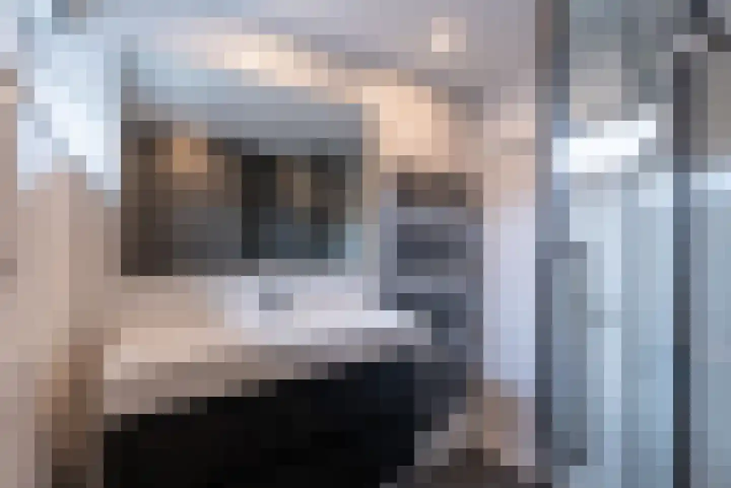 Wilgenstraat 23 Spijkenisse thumbnail 20