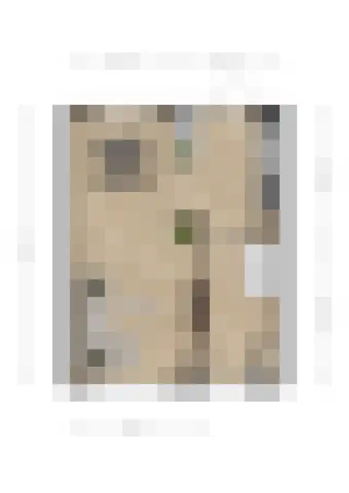 Wilgenstraat 23 Spijkenisse thumbnail 7