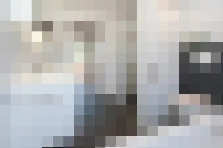 Wilgenstraat 24 Aadorp thumbnail 22