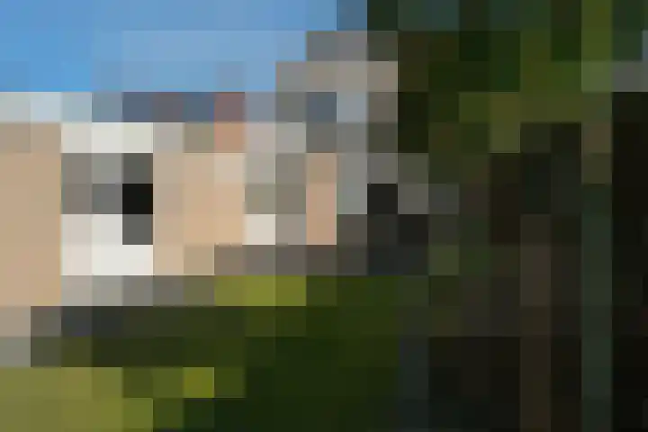 Wilgenstraat 24 Aadorp thumbnail 31