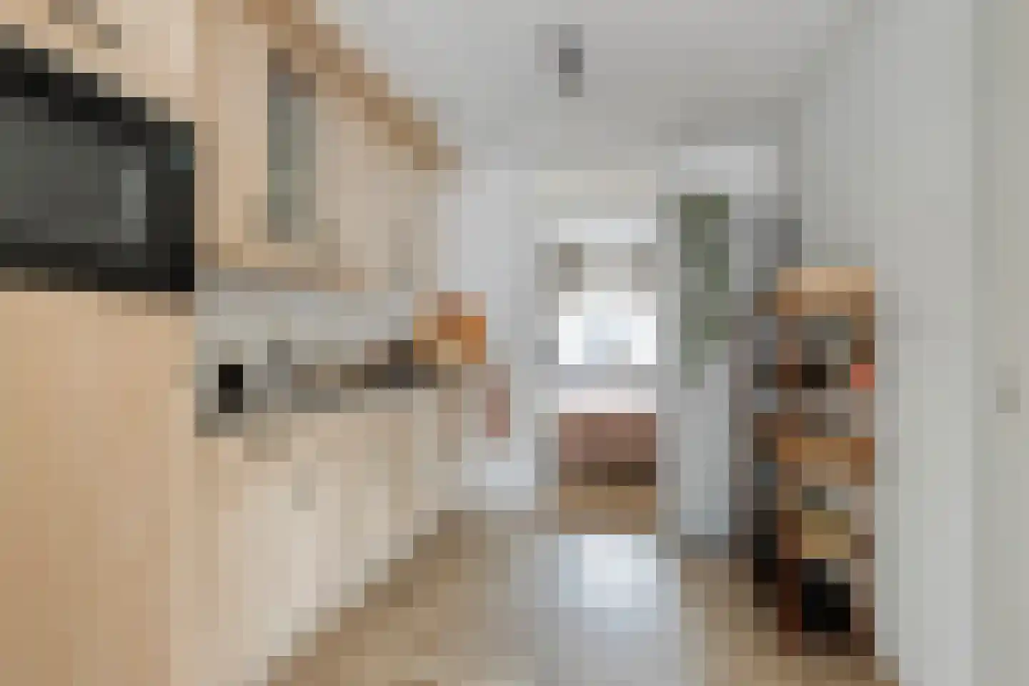 Wilgenstraat 24 Bunschoten-Spakenburg thumbnail 16