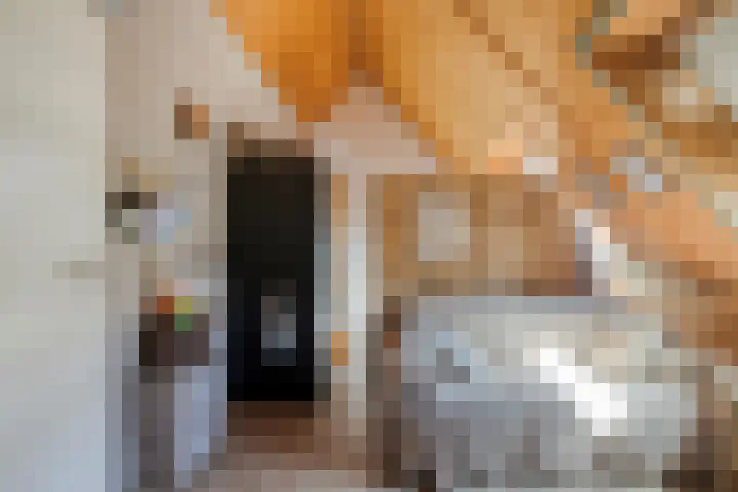 Wilgenstraat 24 Bunschoten-Spakenburg thumbnail 29