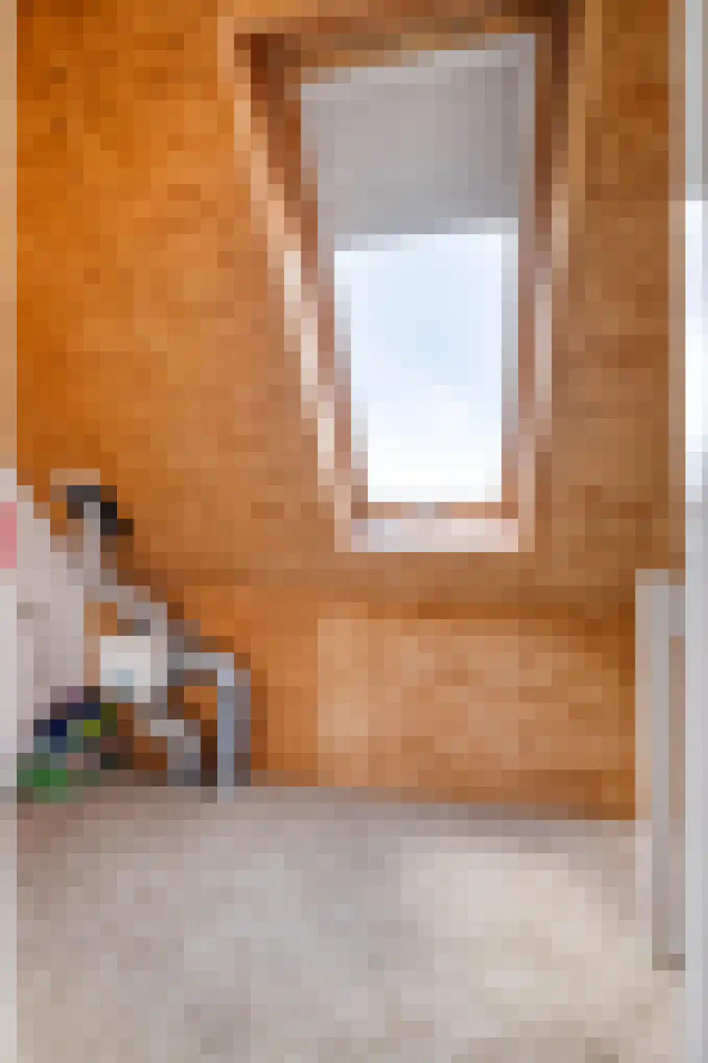 Wilgenstraat 24 Bunschoten-Spakenburg thumbnail 32