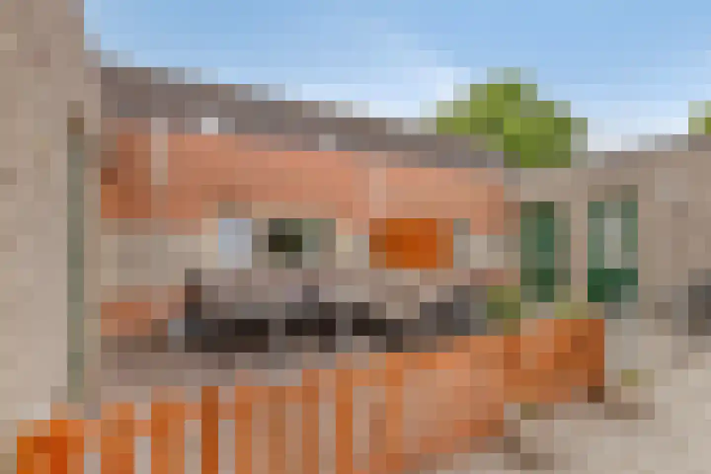Wilgenstraat 24 Bunschoten-Spakenburg thumbnail 36