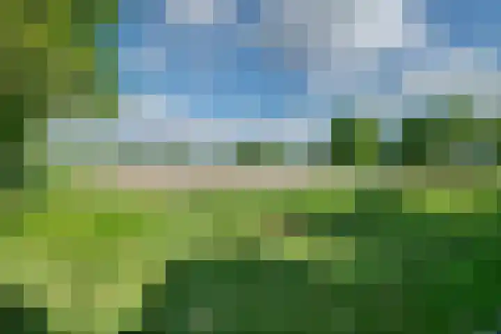 Wilgenstraat 27 Heerle thumbnail 42