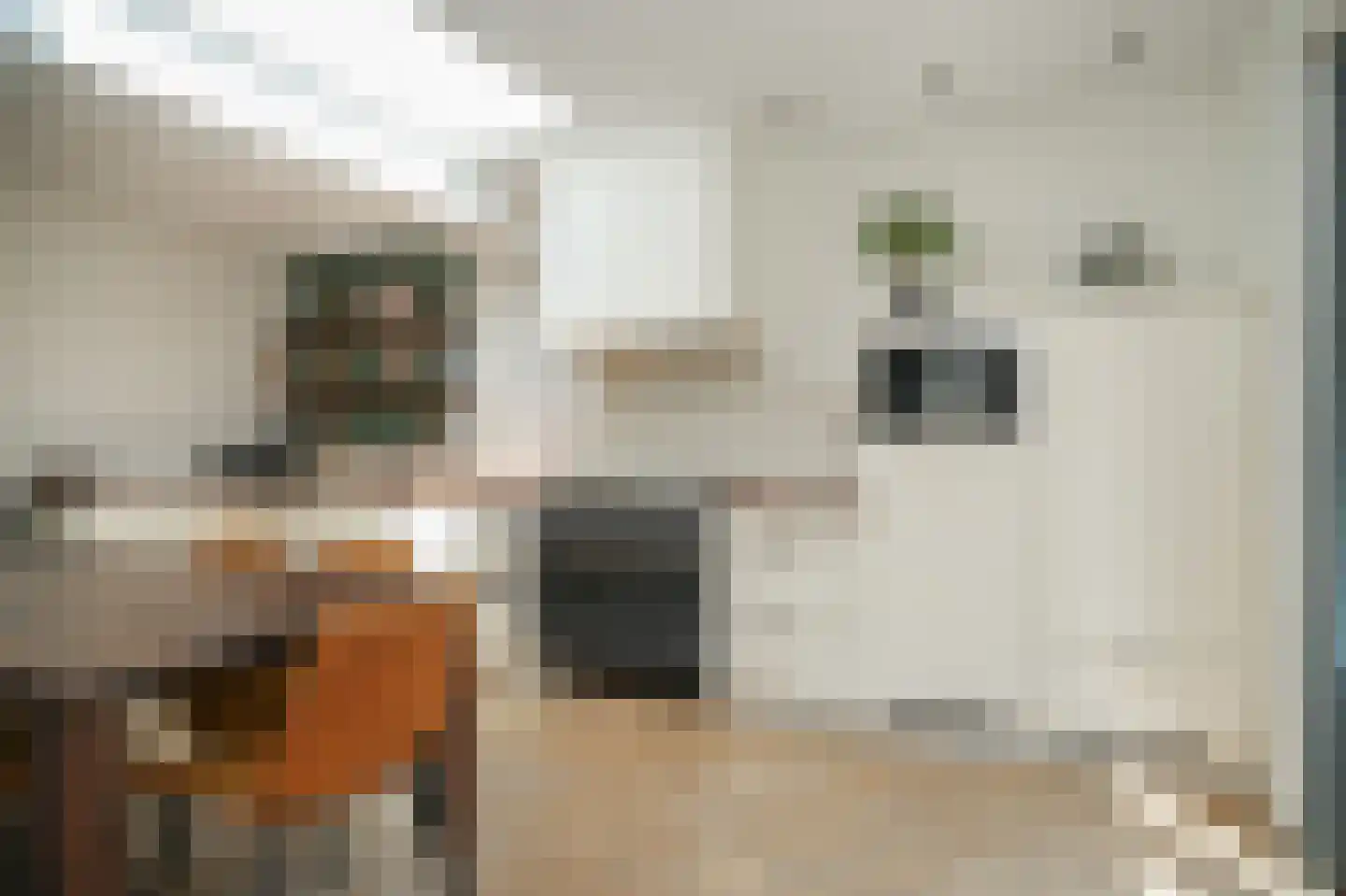 Wilgenstraat 3 Brakel thumbnail 10