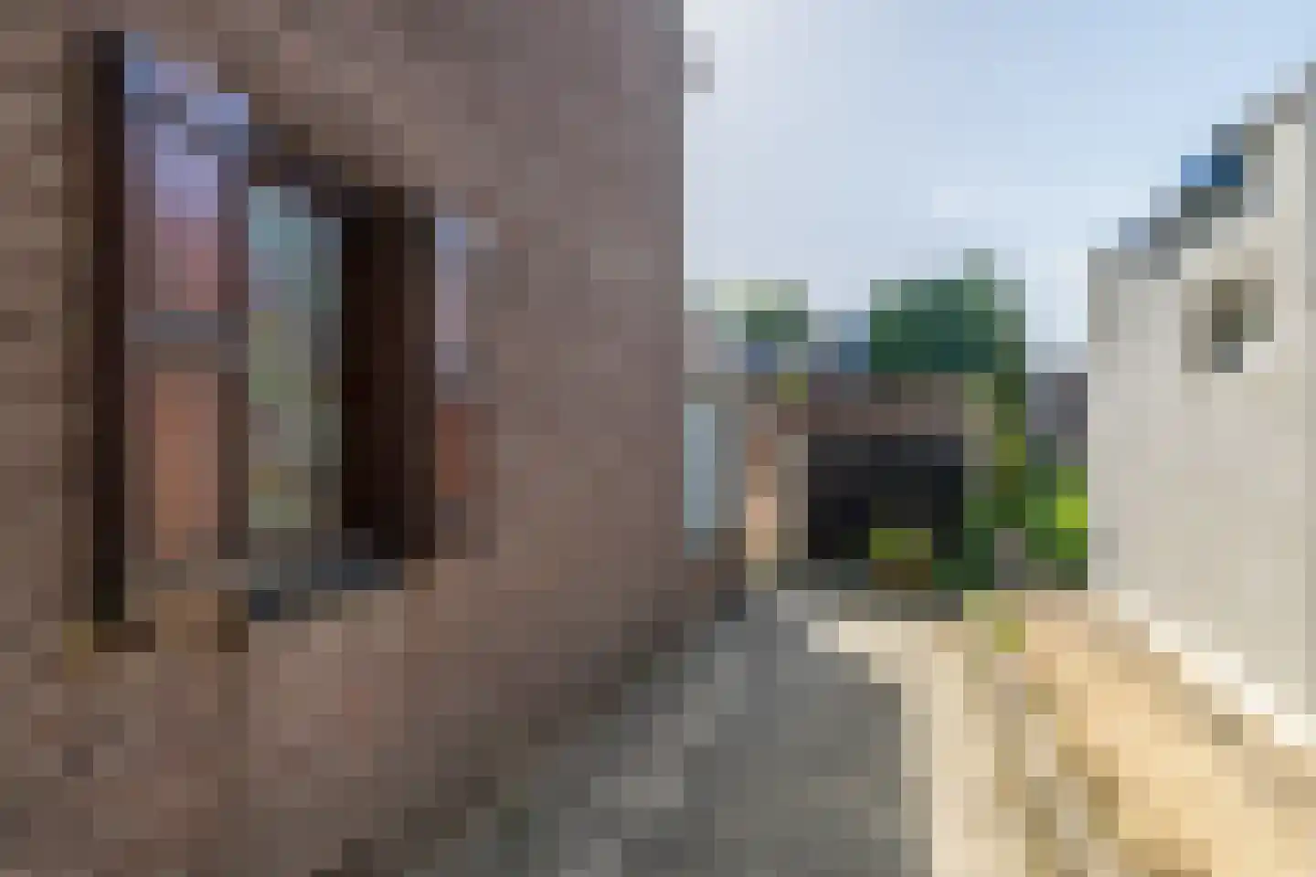 Wilgenstraat 3 Oirsbeek thumbnail 25