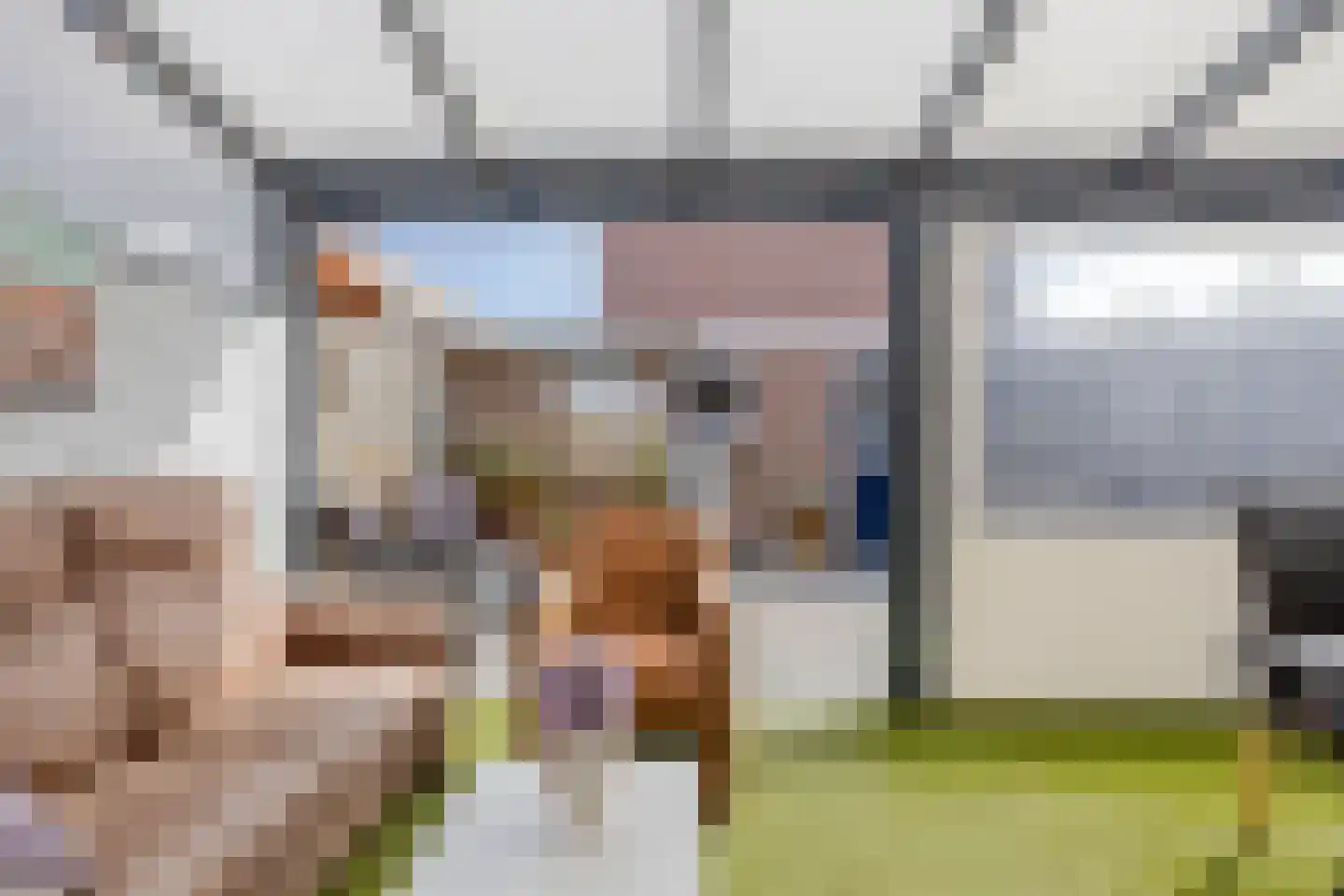 Wilgenstraat 32 Spijkenisse thumbnail 14