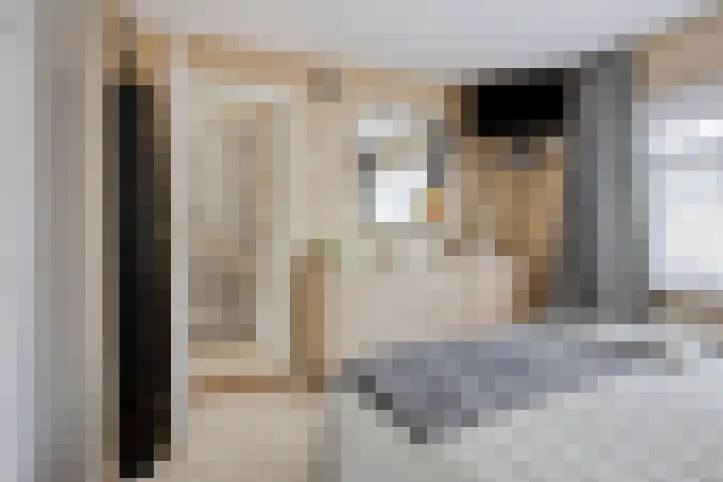 Wilgenstraat 32 Spijkenisse thumbnail 19