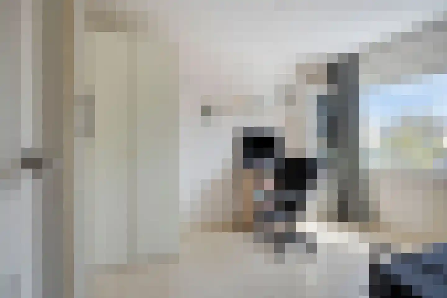 Wilgenstraat 32 Spijkenisse thumbnail 21
