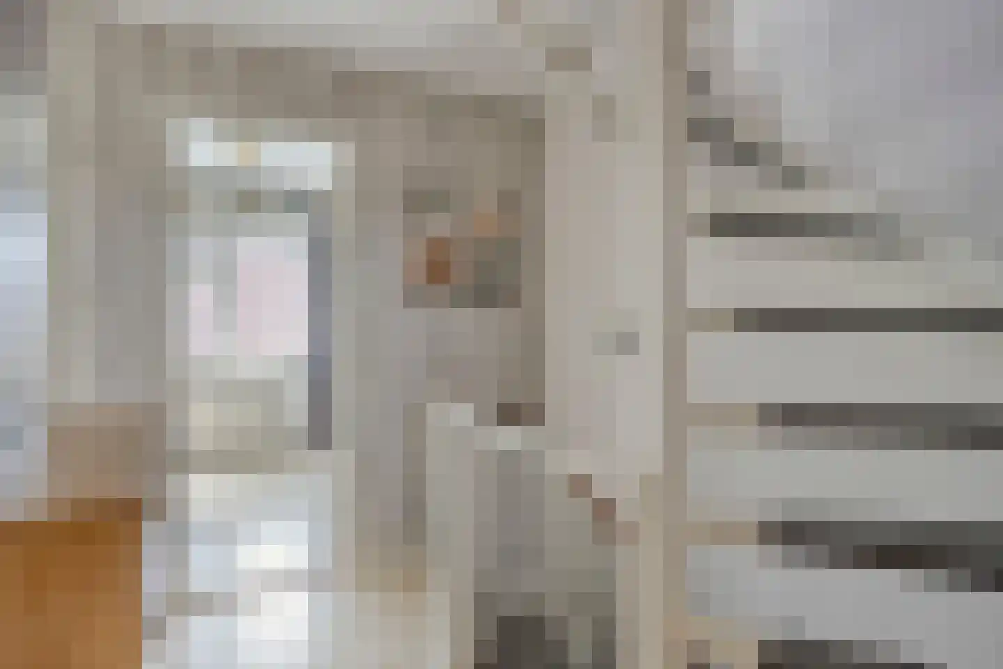 Wilgenstraat 32 Spijkenisse thumbnail 25
