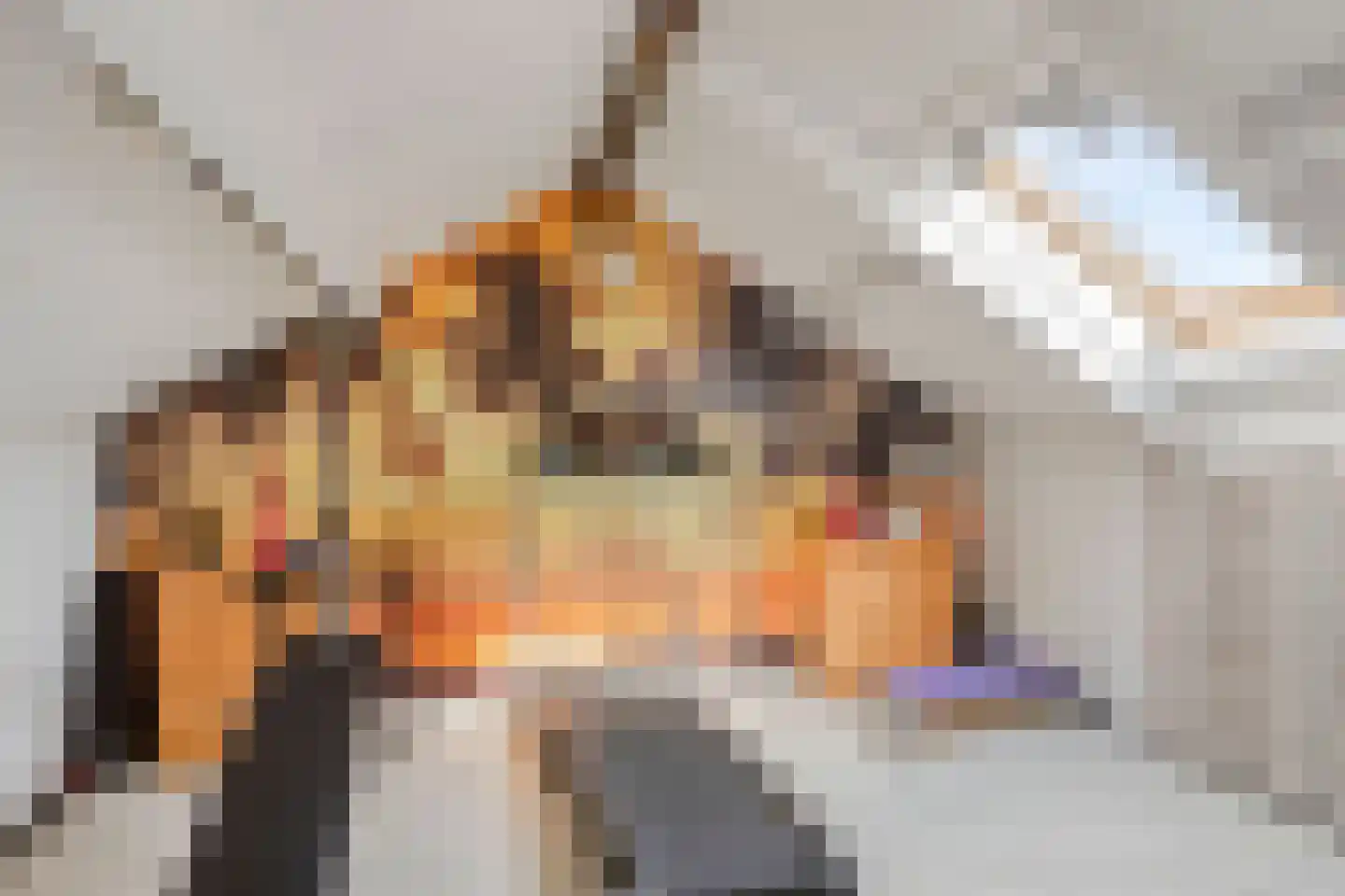 Wilgenstraat 32 Spijkenisse thumbnail 27