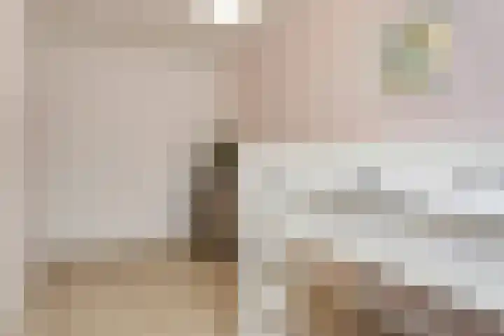 Wilgenstraat 33 Oss thumbnail 19