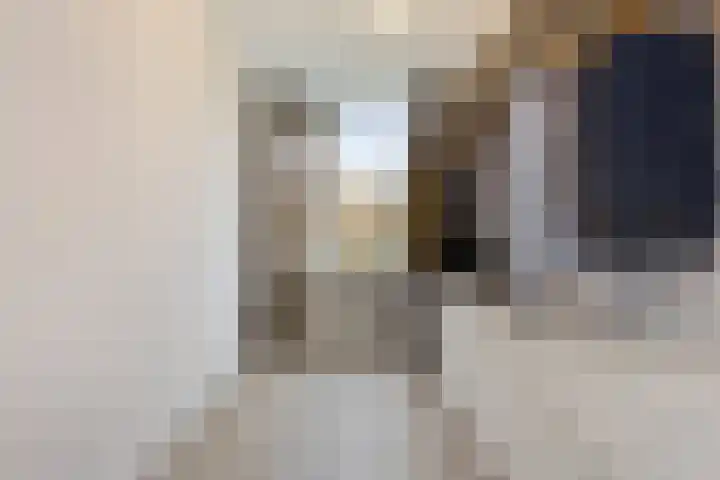 Wilgenstraat 33 Oss thumbnail 20