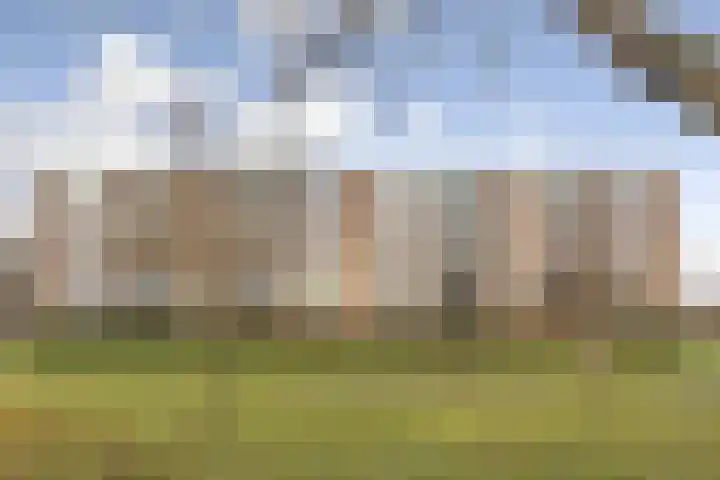 Wilgenstraat 33 Oss thumbnail 27