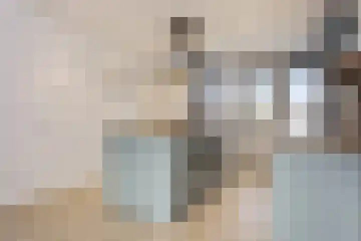 Wilgenstraat 33 Oss thumbnail 5