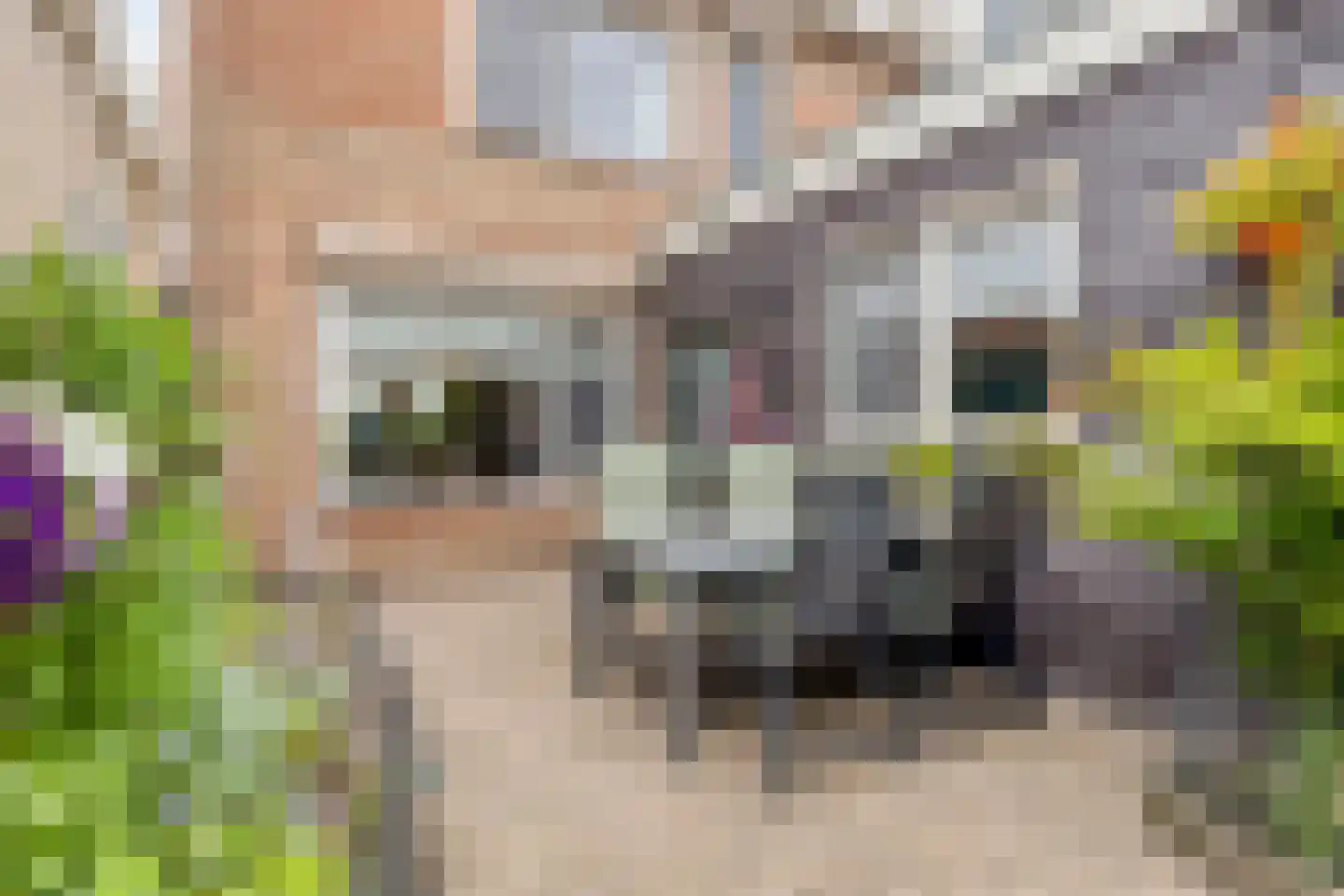 Wilgenstraat 34 Heerle thumbnail 31