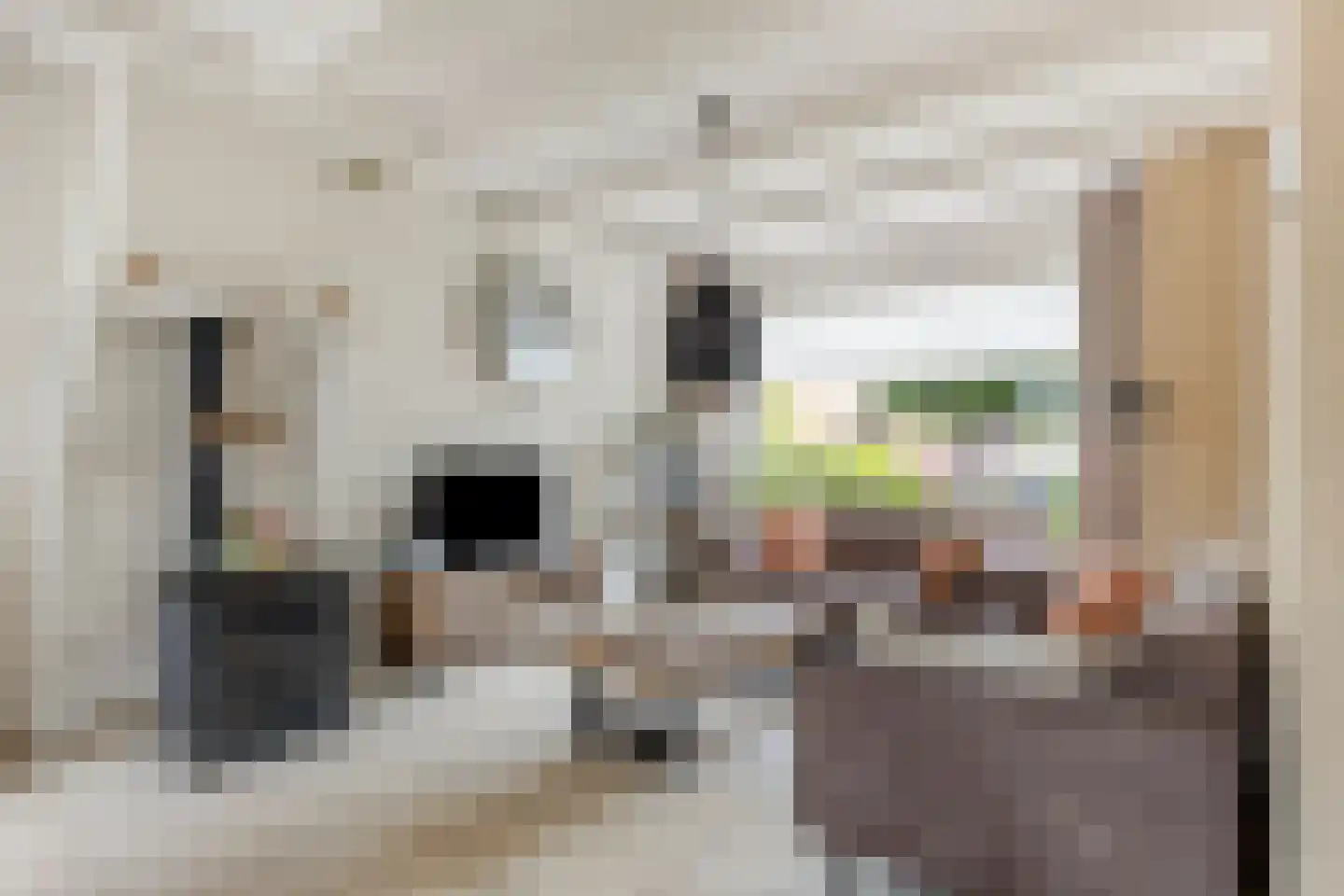 Wilgenstraat 34 Heerle thumbnail 9