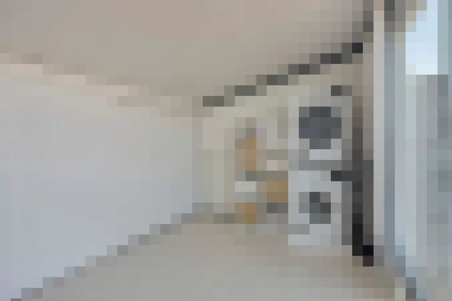 Wilgenstraat 38 Tegelen thumbnail 21