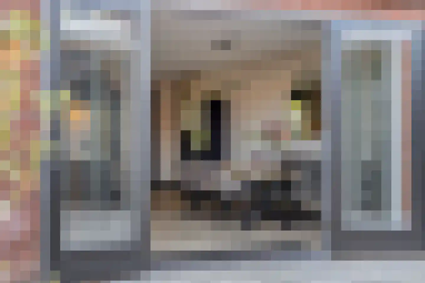Wilgenstraat 38 Tegelen thumbnail 28