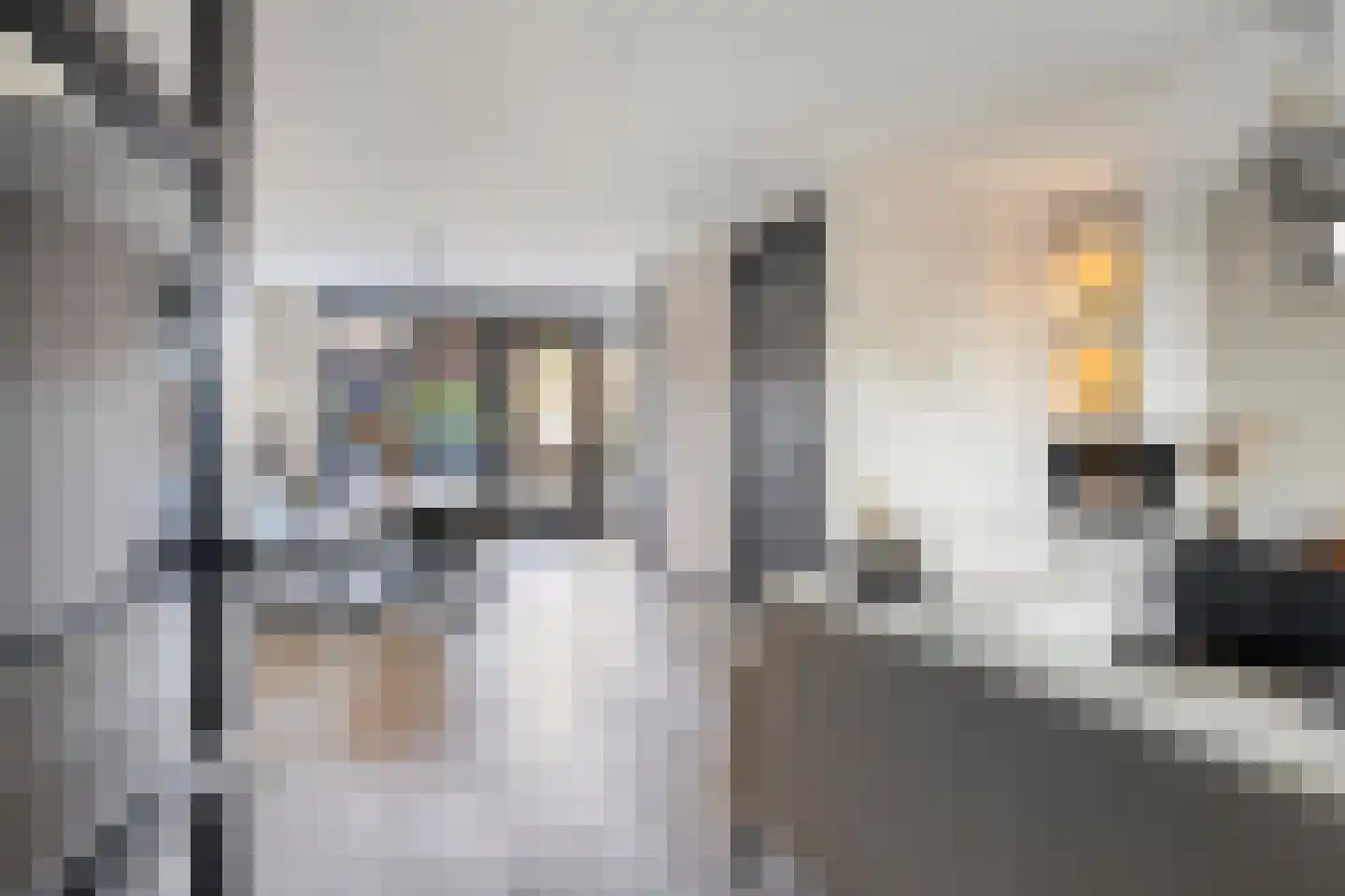 Wilgenstraat 38 Tegelen thumbnail 5