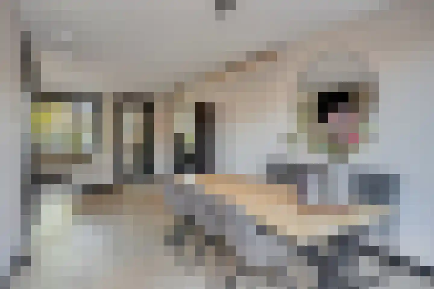 Wilgenstraat 38 Tegelen thumbnail 8