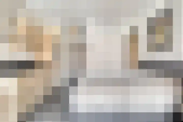 Wilgenstraat 4 D Goes thumbnail 11