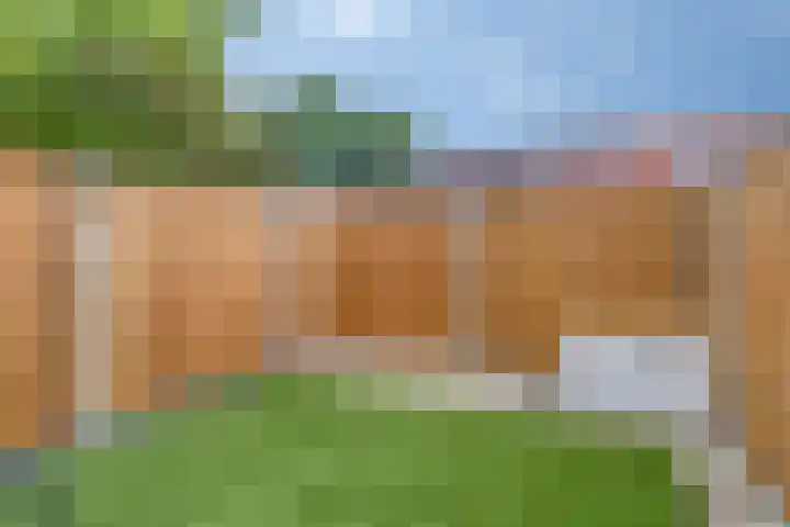 Wilgenstraat 4 D Goes thumbnail 15