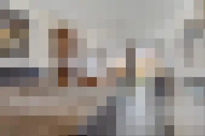 Wilgenstraat 4 D Goes thumbnail 7