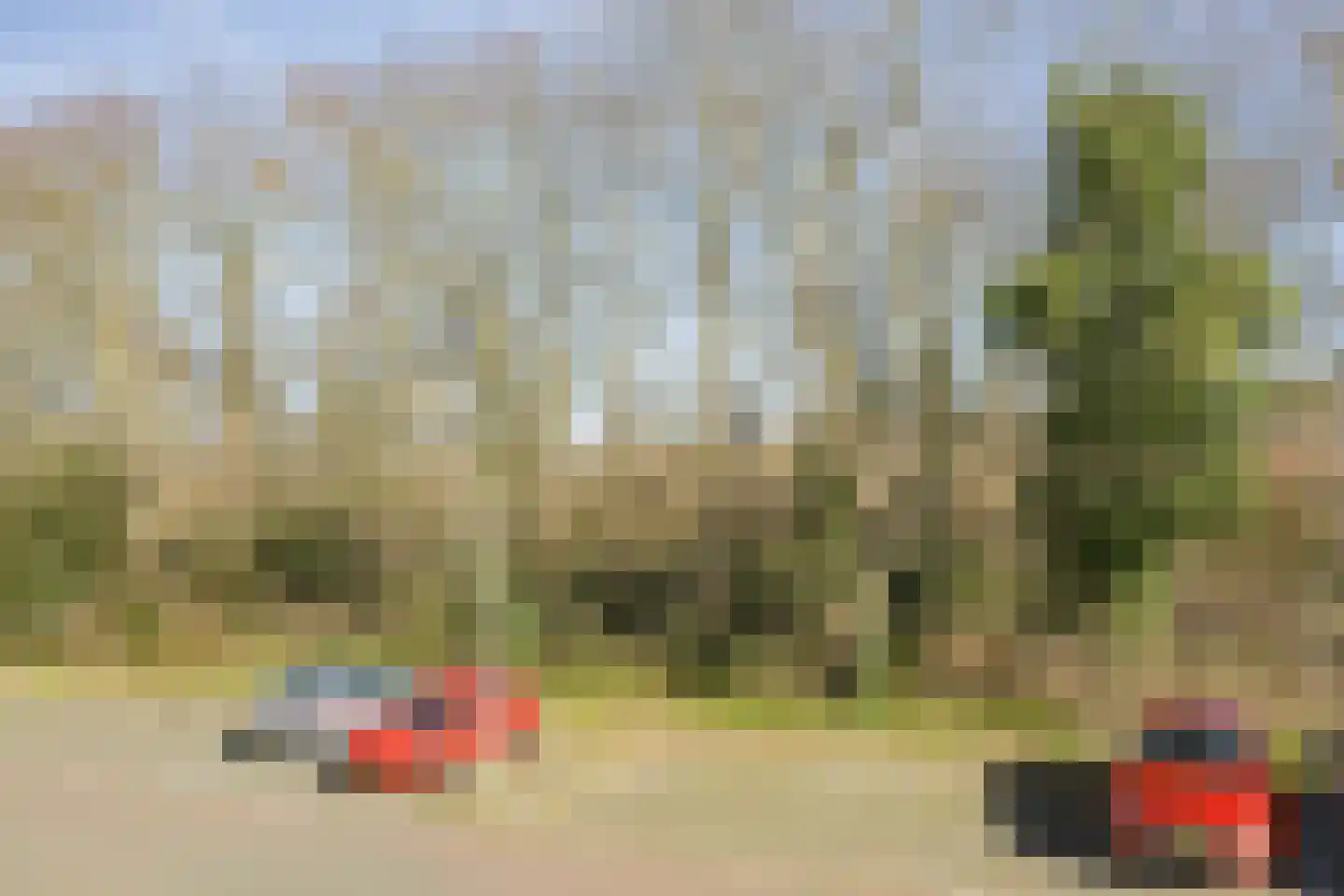 Wilgenstraat 4 IJmuiden thumbnail 4