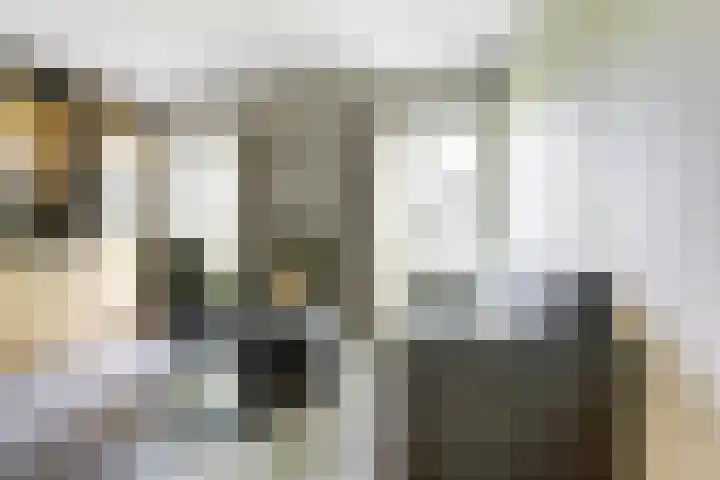 Wilgenstraat 4 J Goes thumbnail 9