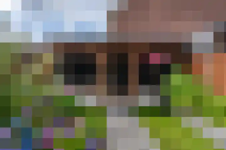 Wilgenstraat 4 Velddriel thumbnail 25