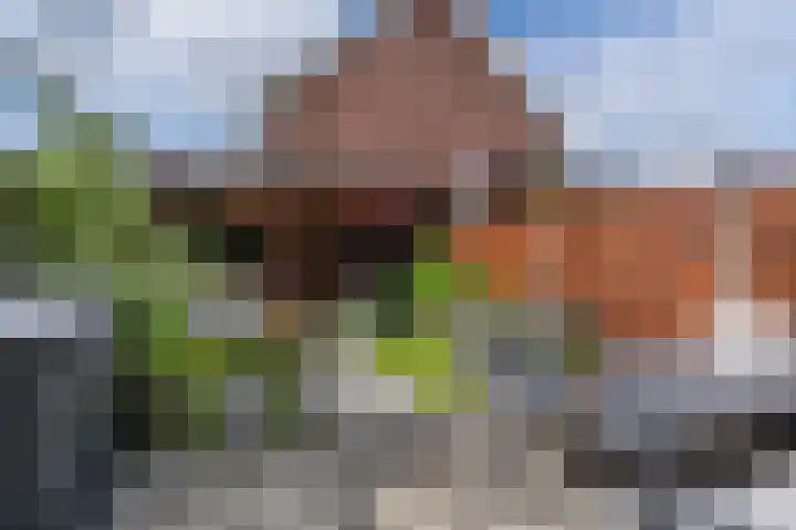 Wilgenstraat 4 Velddriel thumbnail 28