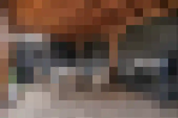Wilgenstraat 4 Velddriel thumbnail 29