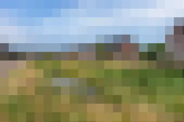 Wilgenstraat 4 Velddriel thumbnail 31