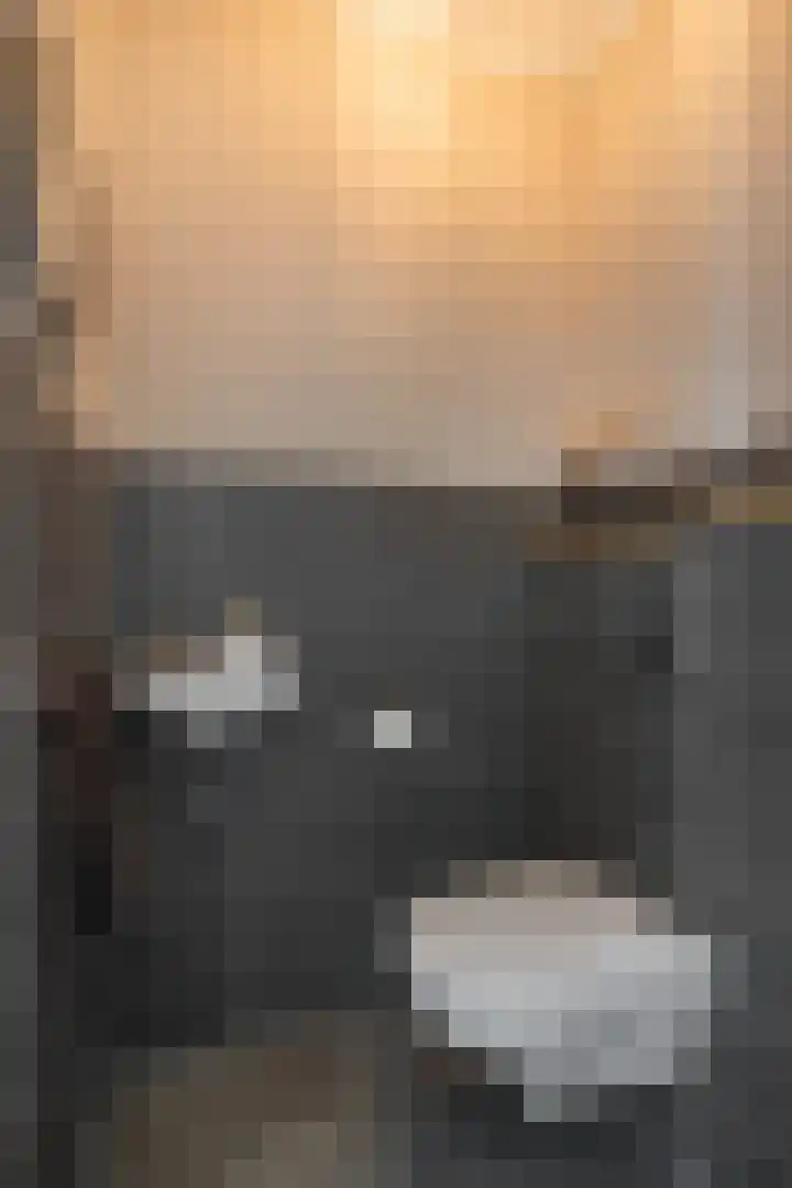 Wilgenstraat 4 Velddriel thumbnail 7