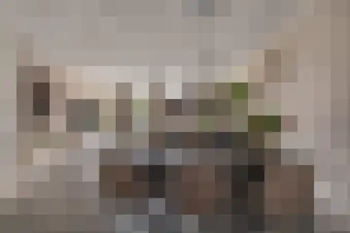 Wilgenstraat 4 Velddriel thumbnail 8