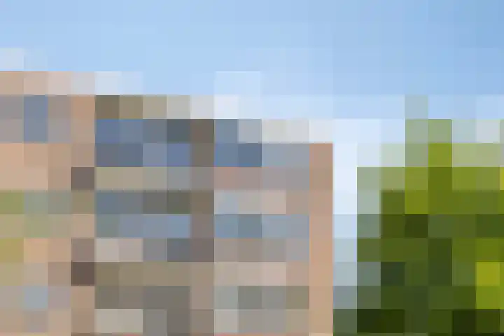 Wilgenstraat 43 Oss thumbnail 35