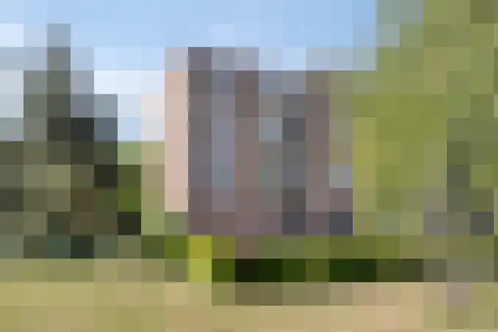 Wilgenstraat 43 Oss thumbnail 38