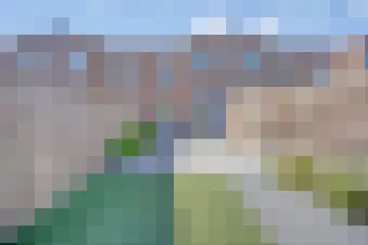 Wilgenstraat 44 Haarlem thumbnail 16