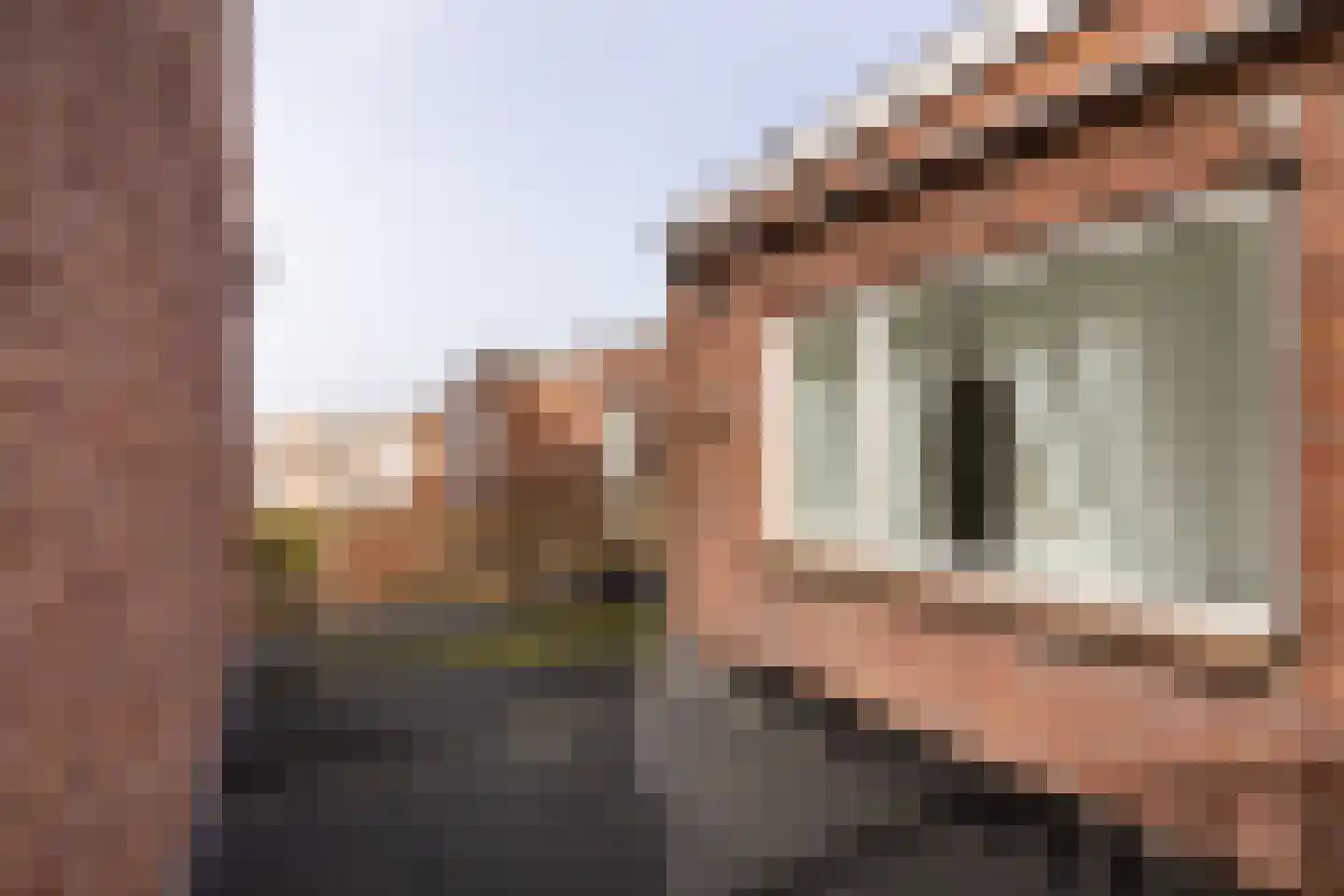 Wilgenstraat 49 Haarlem thumbnail 20