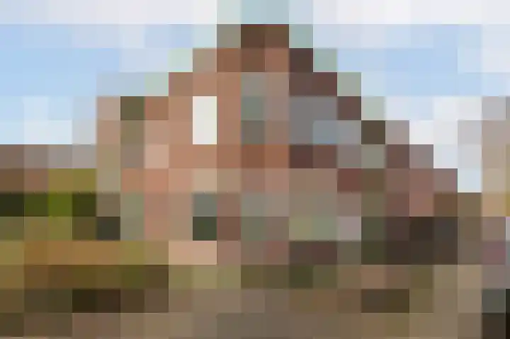 Wilgenstraat 49 Haarlem thumbnail 21