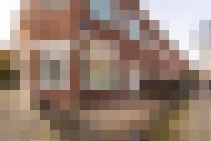 Wilgenstraat 49 Haarlem thumbnail 22