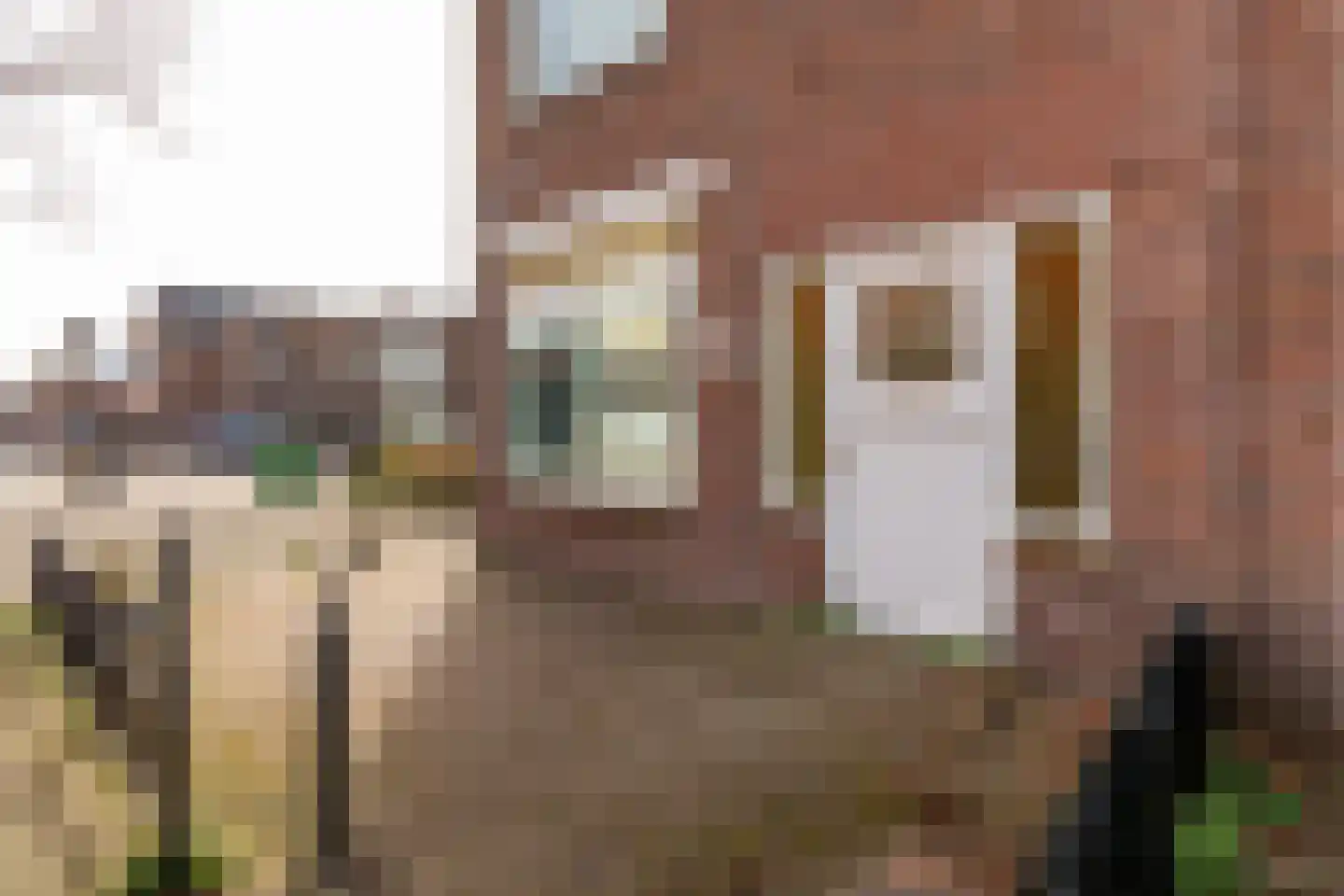 Wilgenstraat 49 Haarlem thumbnail 23